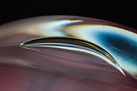 Frozen Bubbles In Glass 1 Fine Art Print