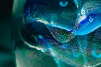 Macro Of Colorful Glass 1 Fine Art Print