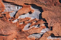 Sandstone Rock Fine Art Print