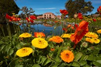 Flowers And Blue Baths, Government Gardens, Rotorua, North Island, New Zealand Fine Art Print