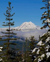 Mount Garibaldi From The Chief Overlook At The Summit Of The Sea To Sky Gondola Fine Art Print