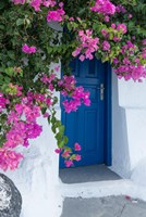 Greece, Santorini A Picturesque Blue Door Is Surrounded By Pink Bougainvillea In Firostefani Framed Print