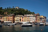 Italy, Province Of Genoa, Portofino, Fishing Village On The Ligurian Sea, Pastel Buildings Overlooking Harbor Fine Art Print