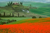 Europe, Italy, Tuscany The Belvedere Villa Landmark And Farmland Fine Art Print
