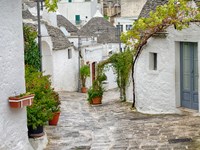 Typical Trulli Houses In Alberobello Fine Art Print