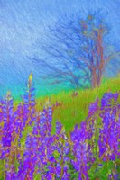 Arizona Aspen Tree In Winter Fine Art Print