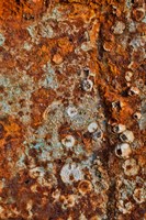 Old Wooden Fishing Boat Out Of Water, Detail Of Paint Crescent City, California Fine Art Print