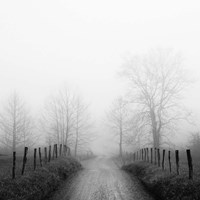 Sparks Lane in Fog Fine Art Print