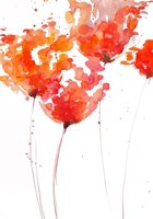 Tangerine Tango 1 Fine Art Print