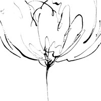 Whisper 2 Fine Art Print