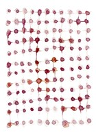 Woven Fine Art Print