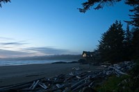 Home At Last Fine Art Print