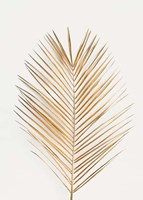 Palm Leaf Gold Fine Art Print