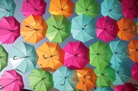 Portugal Umbrella 1 Fine Art Print