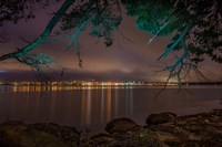 Nanaimo Night Tree Fine Art Print