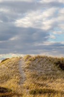Dunes Trail Fine Art Print