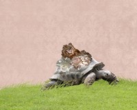 Tortoise on Pink Fine Art Print