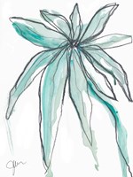 Teal in Nature Fine Art Print