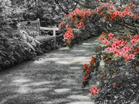 Delaware, Walkway In A Garden With Azaleas And A Park Bench Fine Art Print