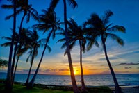 Sunset And Silhouetted Palm Trees, Kihei, Maui, Hawaii Fine Art Print