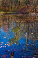 Fall Foliage Reflection In Lake Water Fine Art Print