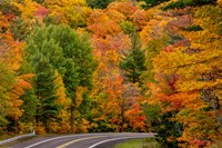 Autumn Color Along Highway 26 Near Houghton, Michigan Fine Art Print