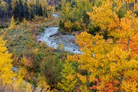 Autumn Color Along Divide Creek In Glacier National Park, Montana Fine Art Print