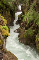 Glacier National Park, Montana Avalanche Creek Fine Art Print