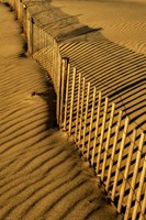 New Jersey, Cape May, Fence Shadow On Shore Sand Fine Art Print