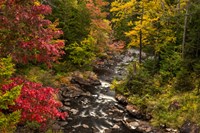 New York, Adirondack State Park Stream And Forest In Autumn Fine Art Print