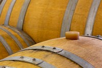 Oregon, Elk Cove Winery Oak Barrels Close-Up Fine Art Print