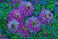 Oregon, Shore Acres State Park, Abstract Of Dahlias In Garden Fine Art Print