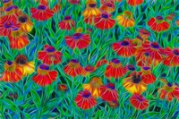 Oregon, Coos Bay, Abstract Of Helenium Flowers In Garden Fine Art Print