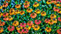 Oregon, Coos Bay Abstract Of Flower Garden Fine Art Print
