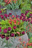Colorful Planters At Entrance To Chanticleer Garden, Pennsylvania Fine Art Print