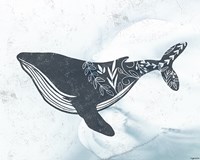 Whale Fine Art Print