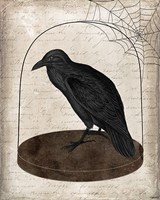 Raven Jar Fine Art Print