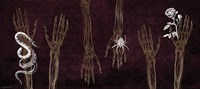 Skeleton Hands Fine Art Print