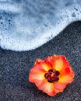 Beach Floral Fine Art Print