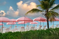 Pink Umbrella Fine Art Print