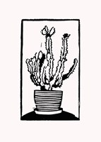 Black Cactus Fine Art Print
