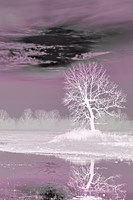 Pink Vision Fine Art Print