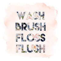 Wash, Brush, Floss, Flush Fine Art Print