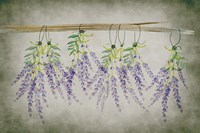 Country Living II Fine Art Print