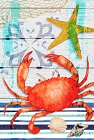 New England Crab Fine Art Print