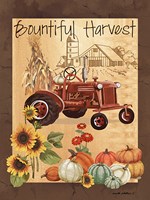 Bountiful Harvest III Fine Art Print