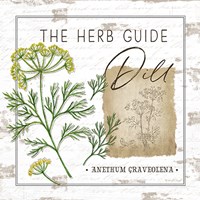 Herb Guide - Dill Framed Print