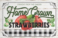 Home Grown Strawberries Framed Print