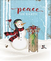 Peace on Earth Fine Art Print