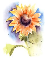 Sunflower I Fine Art Print